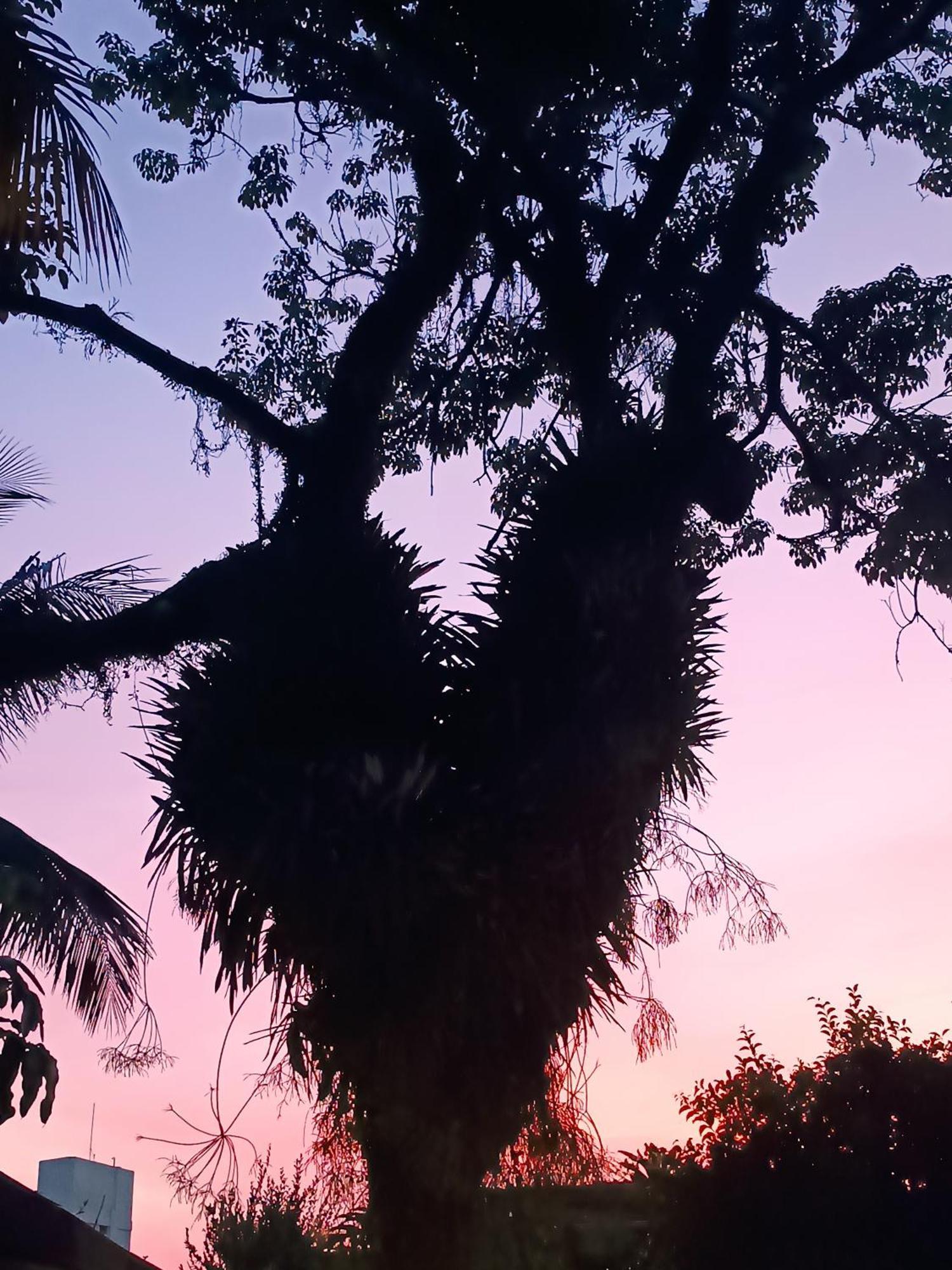 Enseada Suites Guarujá Dış mekan fotoğraf